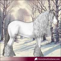 Horse Color:Liver Chestnut Sabino Splash Tobiano Appaloosa