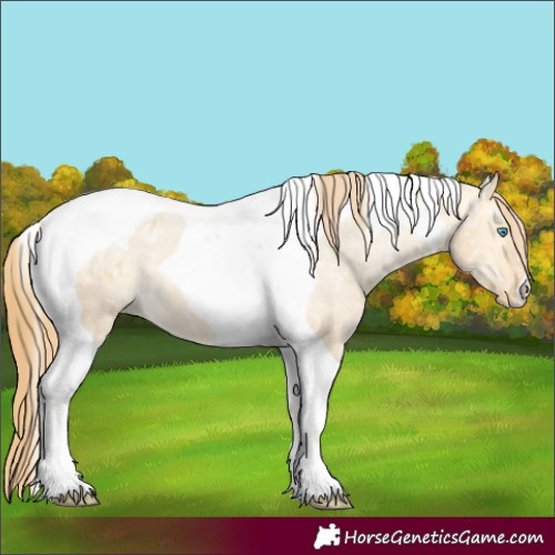 Horse Color:Amber Cream Champagne Ice Dun Tobiano Varnish 