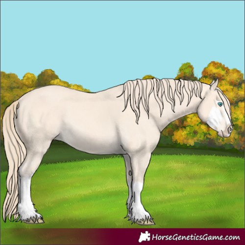 Horse Color:Perlino Splash  and Perlino Splash 