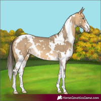Horse Color:White Spotted Sable Cream Champagne 
