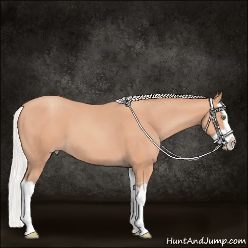 Horse Color:Silver Amber Champagne Splash 