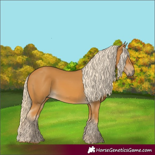 Horse Color:Palomino