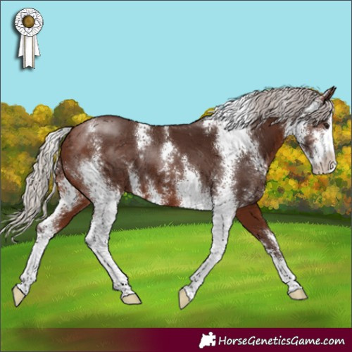 Horse Color:Silver Brown Sabino 