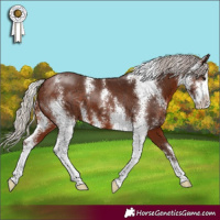 Horse Color:Silver Brown Sabino 