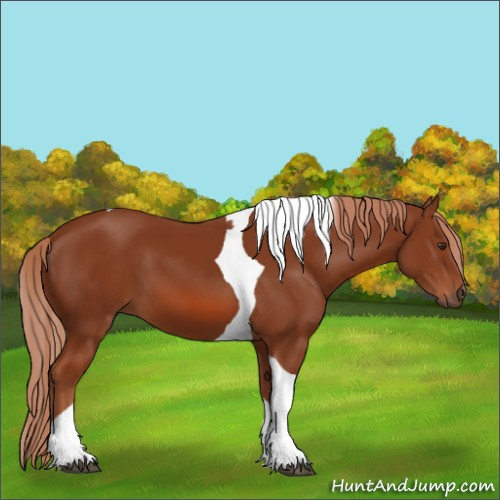 Horse Color:Chestnut Tobiano