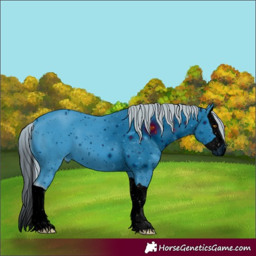 Horse Color:ERROR: UNKNOWN ANOMALY