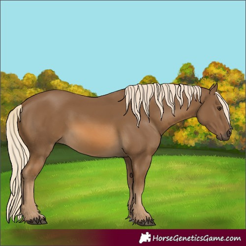 Horse Color:Chocolate Palomino 