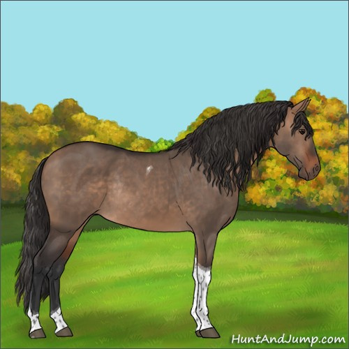 Horse Color:Bay Dun Tobiano Rabicano 