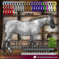 Horse Color:White Spotted Liver Red Roan 
