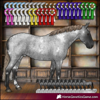 Horse Color:White Spotted Liver Red Roan 