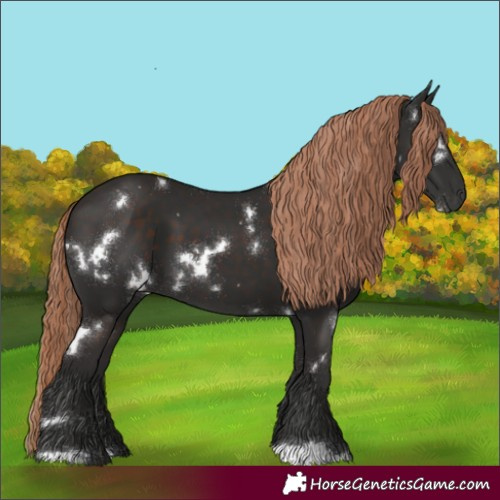 Horse Color:White Spotted Liver Chestnut 
