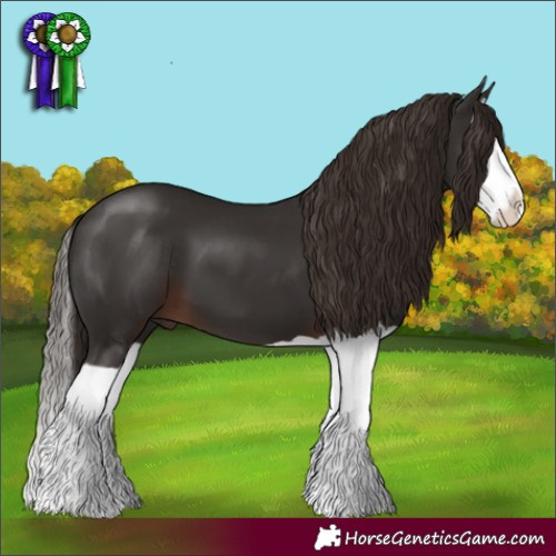 Horse Color:Liver Chestnut Splash