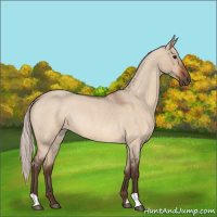 Horse Color:Silver Bay Roan Dun 