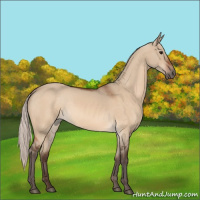 Horse Color:Silver Bay Dun