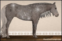 Horse Color:Silver Black 