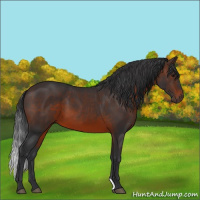 Horse Color:Brown 
