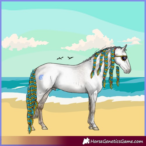 Horse Color:Gray Silver Smoky Blue Roan Pearl Tobiano 