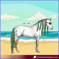 Horse Color:Gray Silver Smoky Blue Roan Pearl Tobiano 