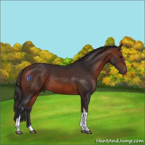 Horse Color:Bay Tobiano Rabicano 