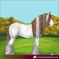 Horse Color:White Spotted Sable Champagne Dun Splash Varnish Rabicano 