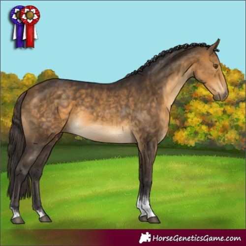 Horse Color:Buckskin Tobiano 