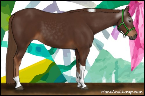 Horse Color:Gray Chestnut Tobiano 