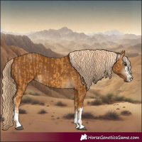 Horse Color:Palomino and Gray Palomino