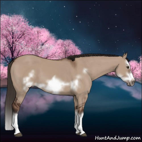 Horse Color:Liver Red Dun Splash Frame 