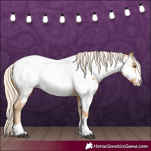 Horse Color:Palomino Near Fewspot 