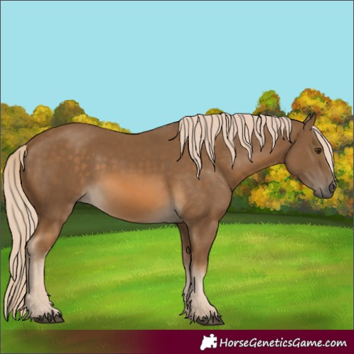 Horse Color:Chocolate Palomino 