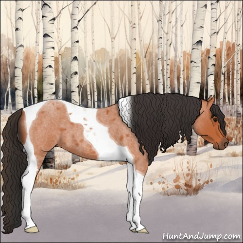 Horse Color:Bay Roan Tobiano 