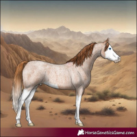 Horse Color:Red Roan Splash 