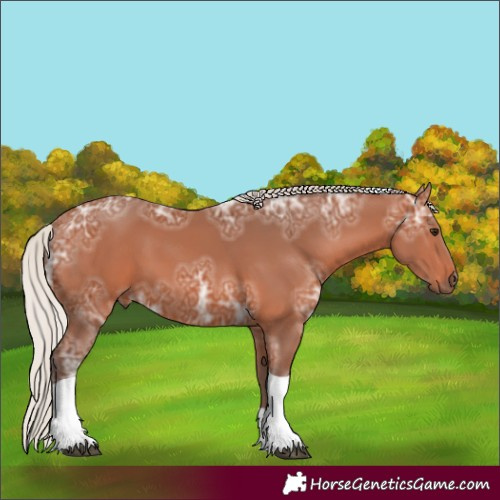 Horse Color:Silver Bay Ice Tobiano Rabicano 