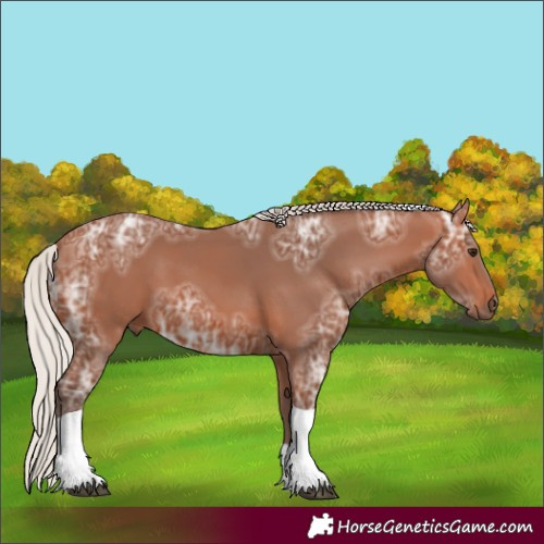 Horse Color:Silver Bay Ice Tobiano Rabicano