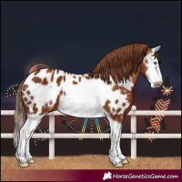 Horse Color:Chestnut Splash Frame Appaloosa 