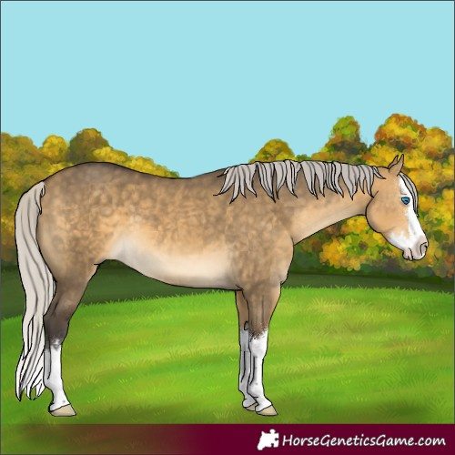 Horse Color:Silver Buckskin Dun Splash 