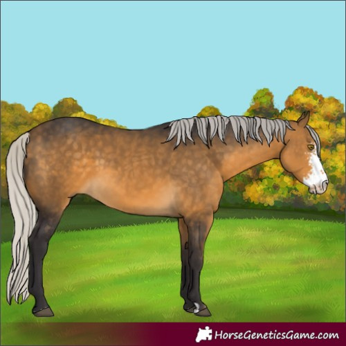Horse Color:Silver Buckskin Sabino 
