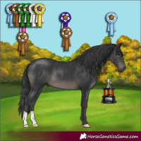 Horse Color:Black 