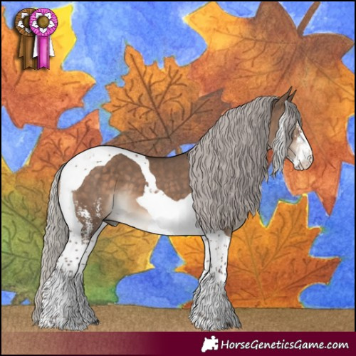 Horse Color:Silver Brown Dun Sabino Tobiano