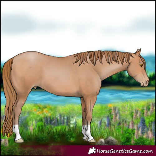 Horse Color:Brown Pearl 