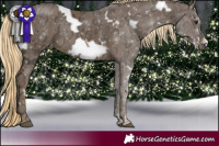 Horse Color:White Spotted Chocolate Palomino Ice Frame