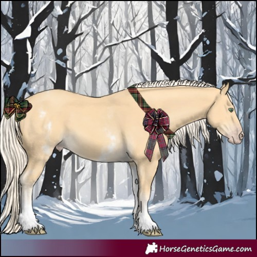 Horse Color:White Spotted Gold Cream Champagne