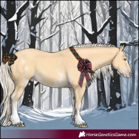 Horse Color:White Spotted Gold Cream Champagne 