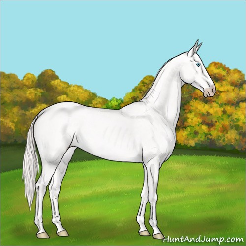 Horse Color:Perlino 