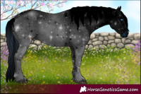 Horse Color:ERROR: UNKNOWN ANOMALY