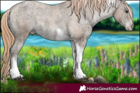 Horse Color:Black Ice Pearl Tobiano Varnish 