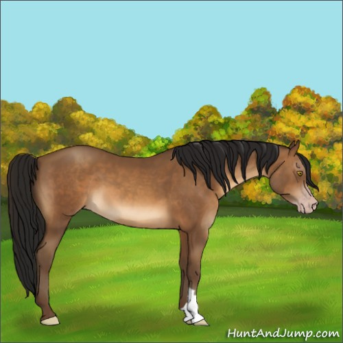 Horse Color:Gray Amber Champagne