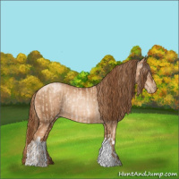 Horse Color:Gold Champagne Pearl Rabicano  and Gray Gold Champagne Pearl Rabicano 