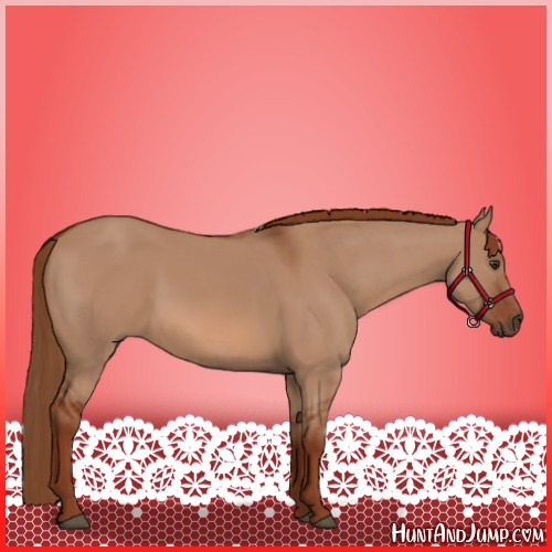 Horse Color:Red Dun 