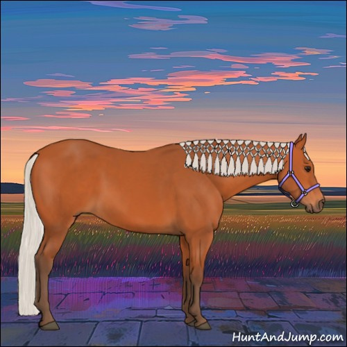 Horse Color:Silver Bay 